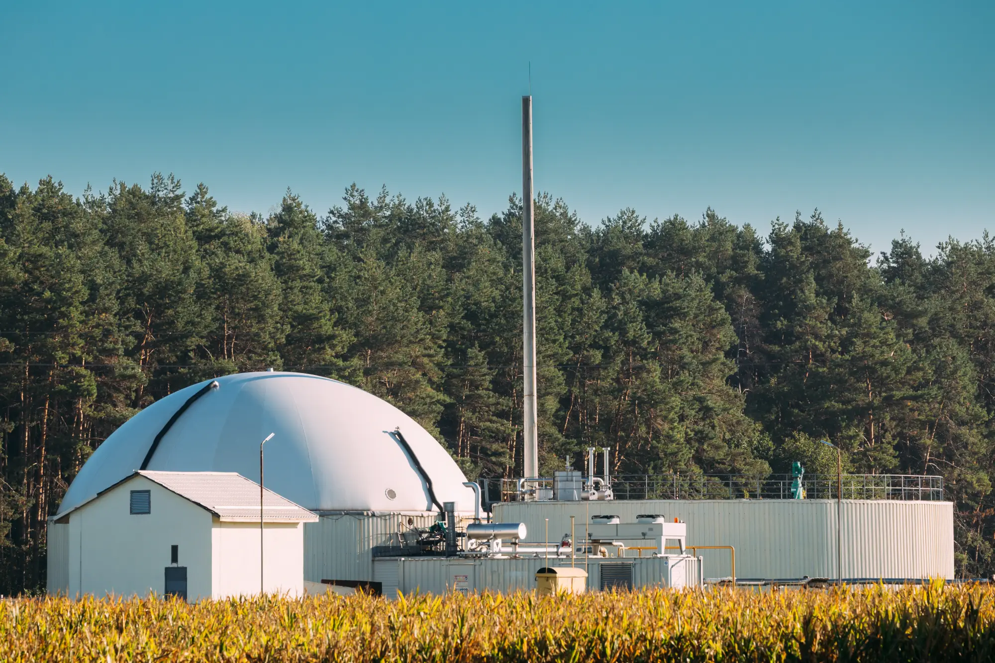 Biogas Purification 1