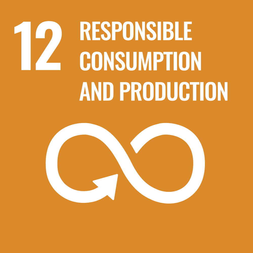 E SDG 12 1