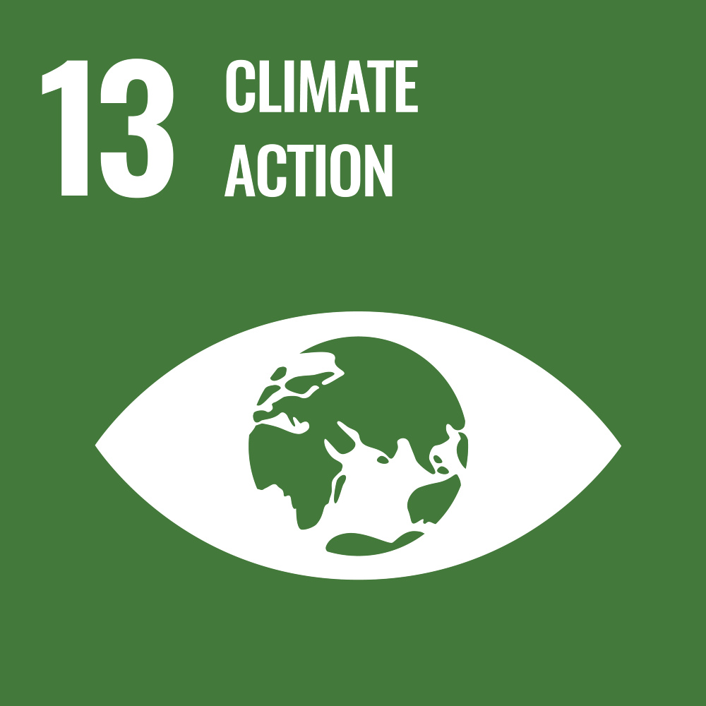 E SDG 13 1