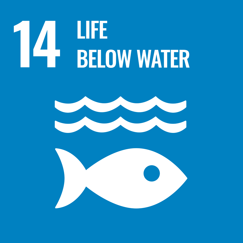 E SDG 14 1
