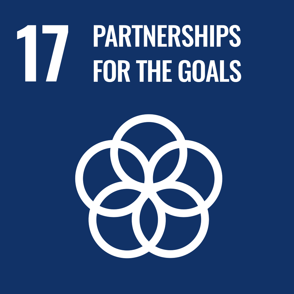 E SDG 17 1