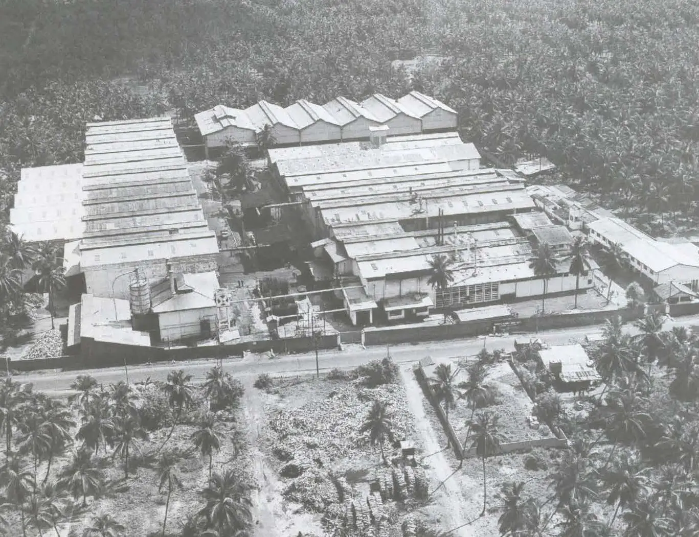 Haycarb 50 Year Supplementary 3 1