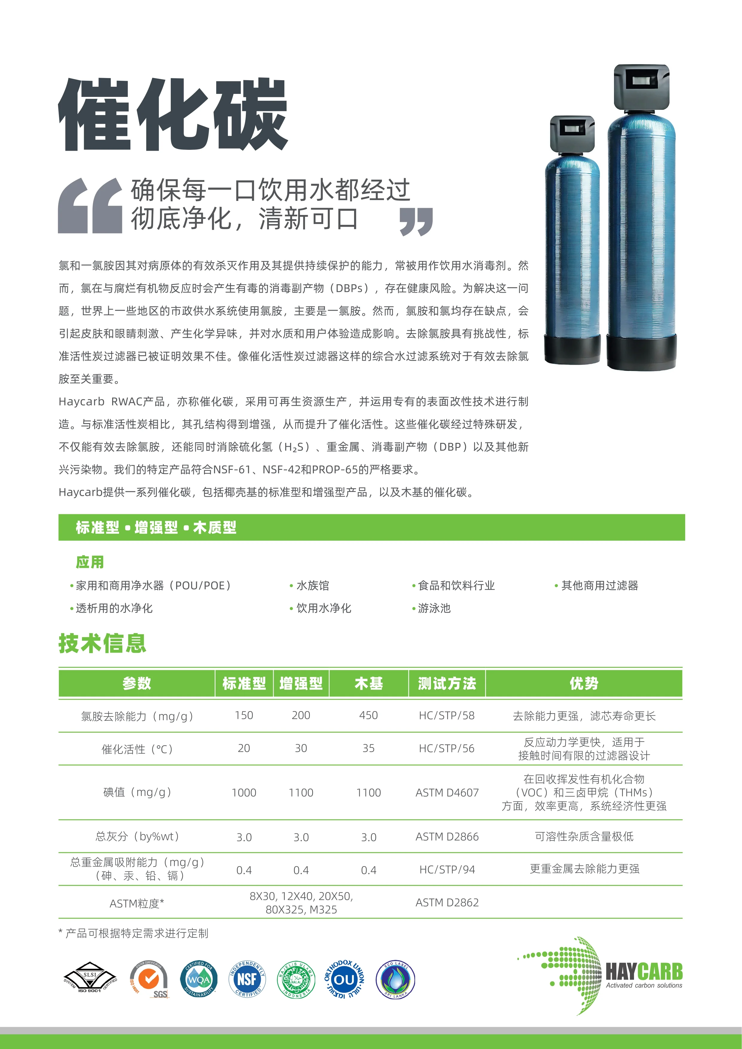 Catalytic carbons Chinese 1 page 0001