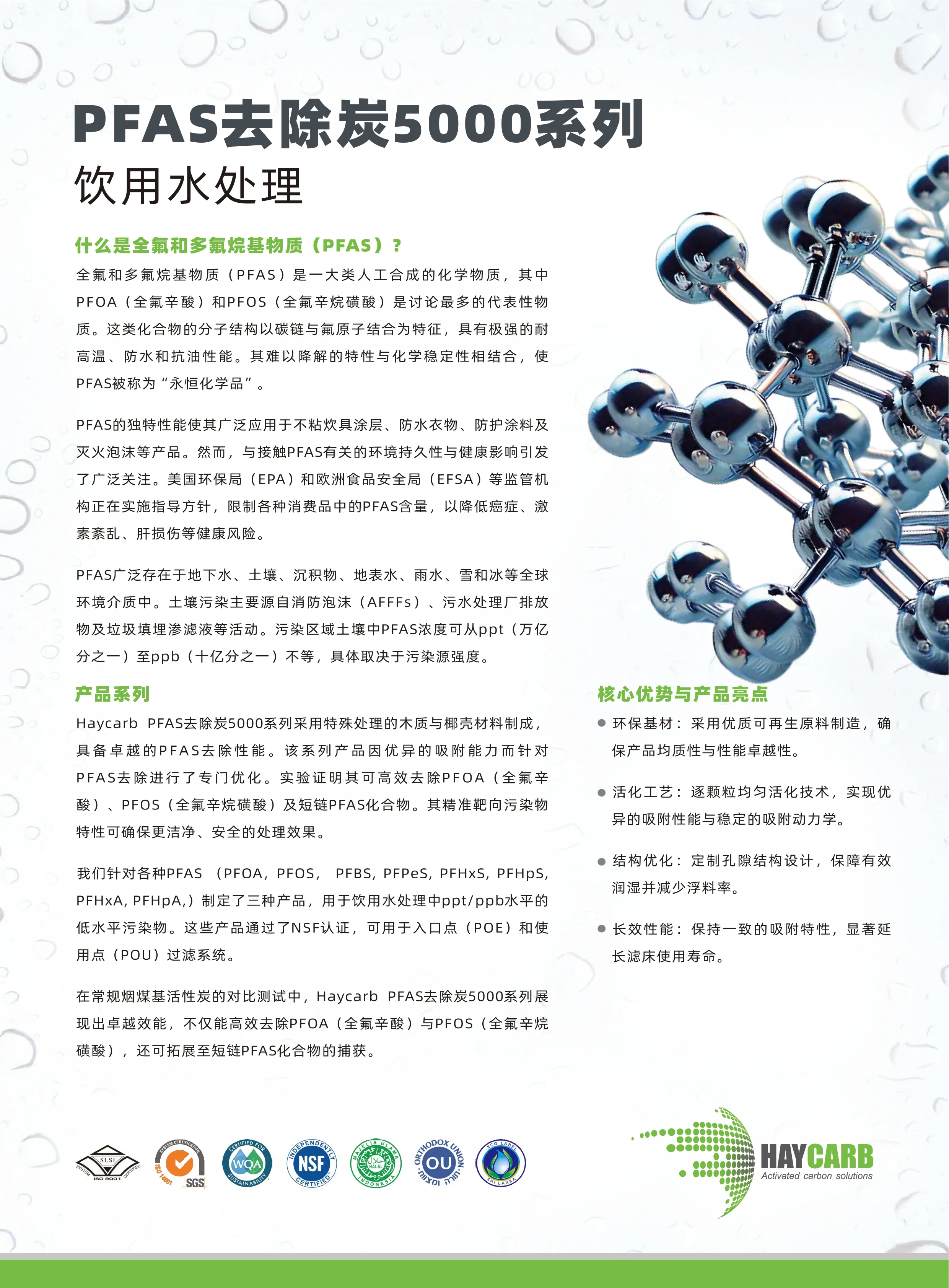 PFAS Removal Carbon 5000 Series Drinking Water Treatment Chinese 1 page 0001